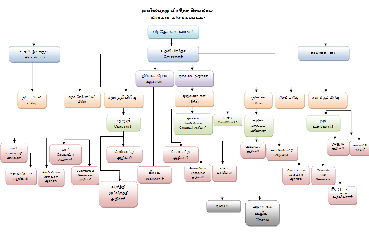 Org English