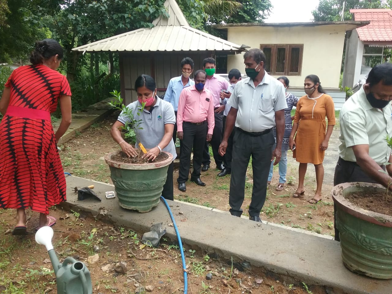 Environment Day 2020 2