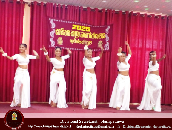 Culture Day 2025.10.03