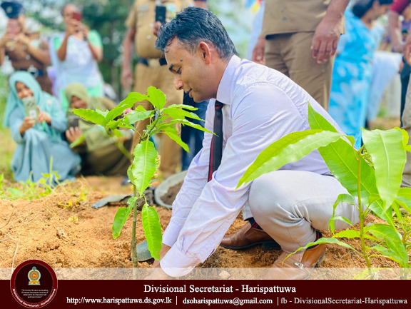 Environment Day 2025/06/05