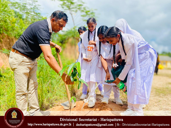 Environment Day 2025/06/05
