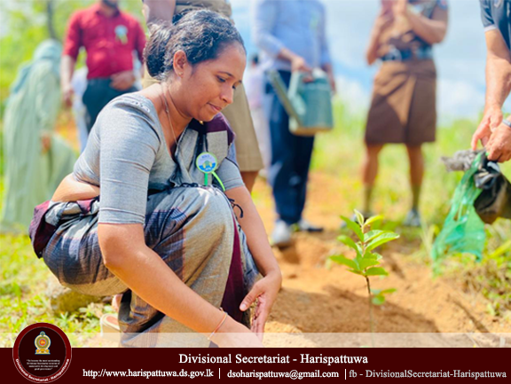 Environment Day 2025/06/05