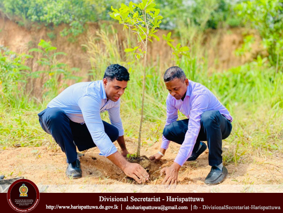 Environment Day 2025/06/05