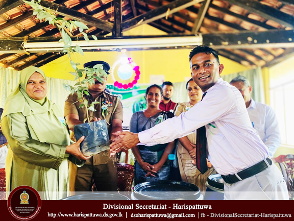 Environment Day 2025/06/05