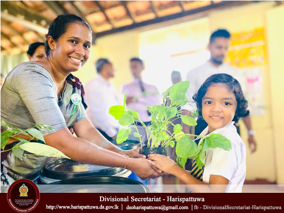 Environment Day 2025/06/05