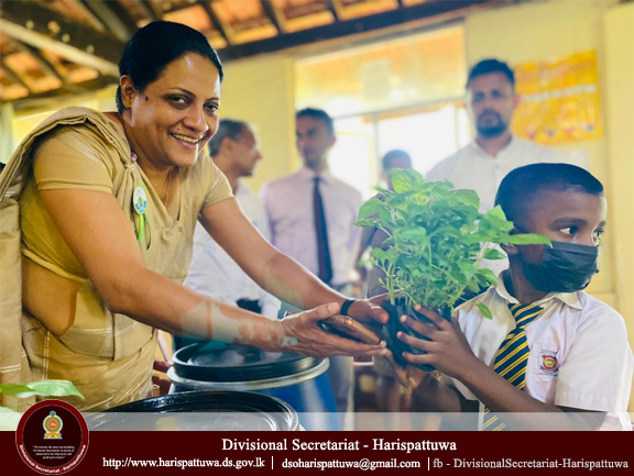 Environment Day 2025/06/05