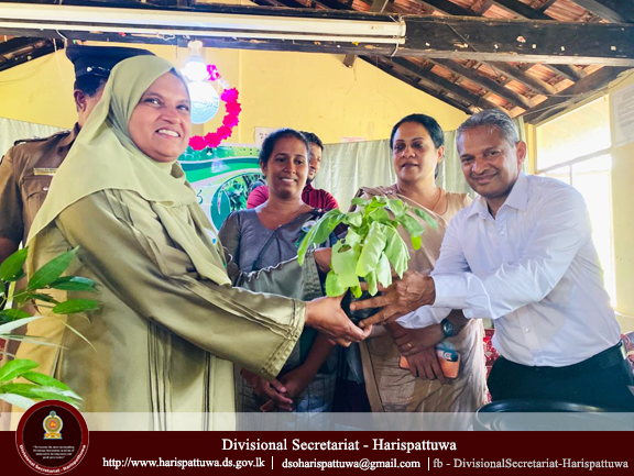 Environment Day 2025/06/05