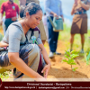 Environment Day 2025/06/05