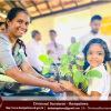 Environment Day 2025/06/05