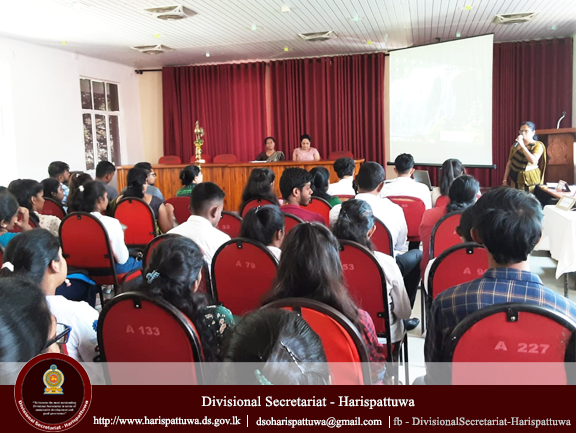 Job Fair 2025.03.07