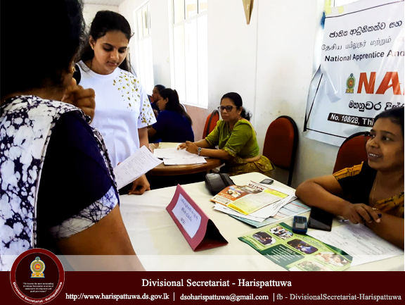 Job Fair 2025.03.07